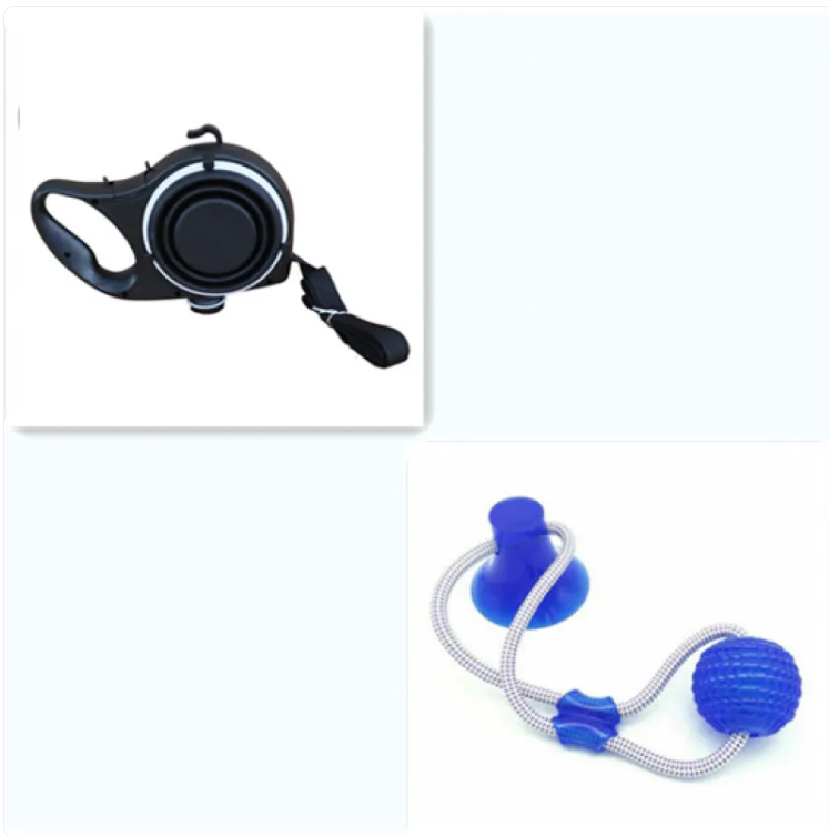 On-the-Go Pet Water Bottle Set