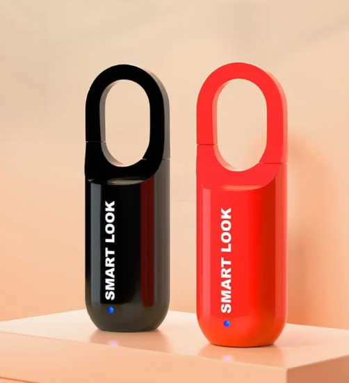 Fingerprint-Lock Charging Bag